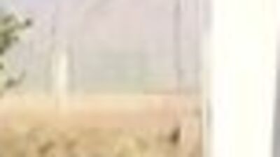 Ağrı'da 1 güvenlik korucusu şehit oldu