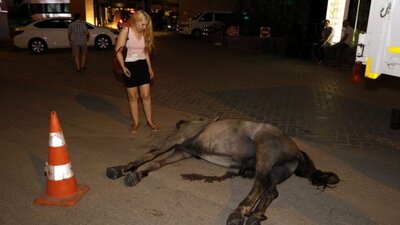 Bu görüntüler büyük tepki çekmişti... İntihar etti