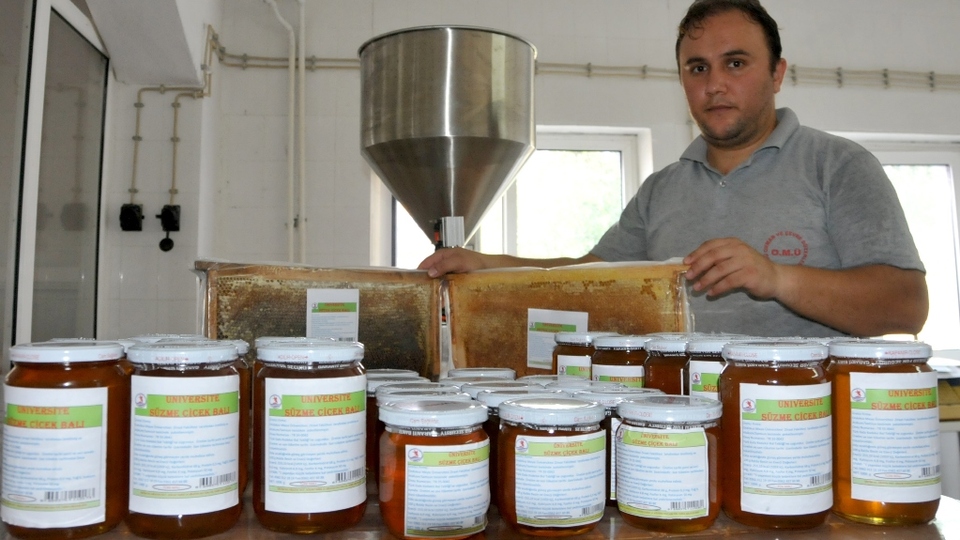 Kilosu 65 TL'den kapış kapış satılıyor