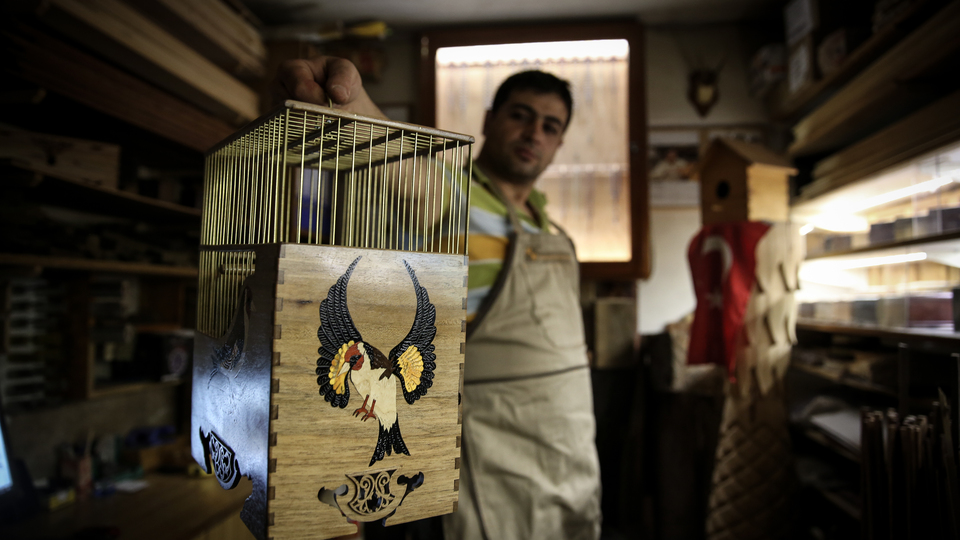 77 ağaçtan yapıp 17 ülkeye gönderiyor