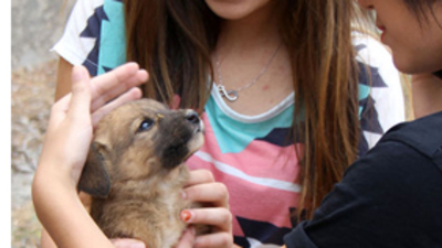 3 metrelik kuyudan çıkarıldı