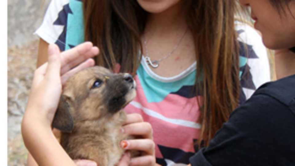 3 metrelik kuyudan çıkarıldı