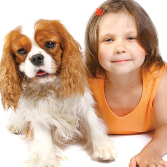 Köpekler kalpten kediler böbrekten şikayetçi