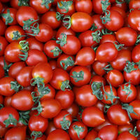 Rusya'dan beklenen domates müjdesi geldi