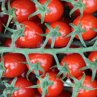"Rusya'nın 50 bin tonluk domates açıklaması, yarım elma gönül alma gibi"