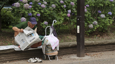 Bu da oldu: Toprağa gömüldüğünde çiçeklenen gazete!