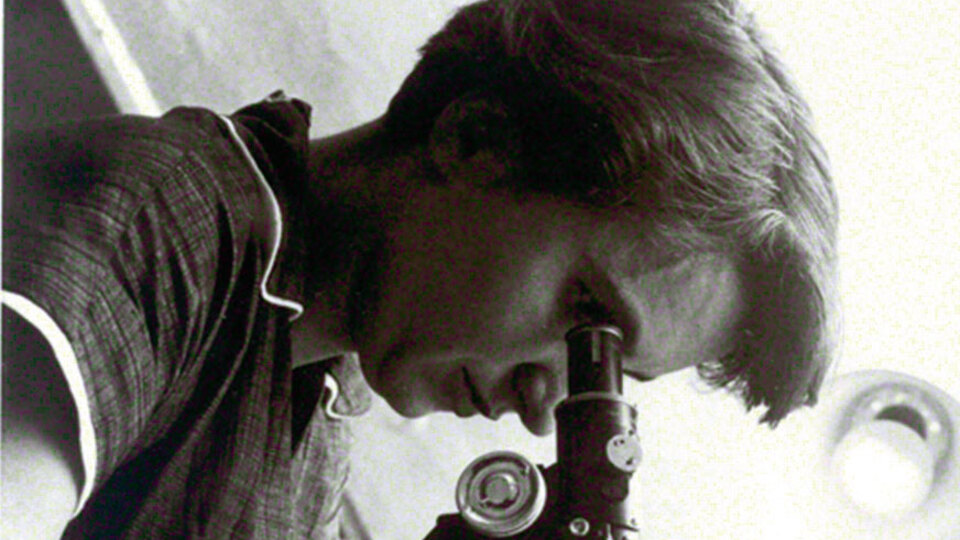 Nobel'deki ayrımcılık