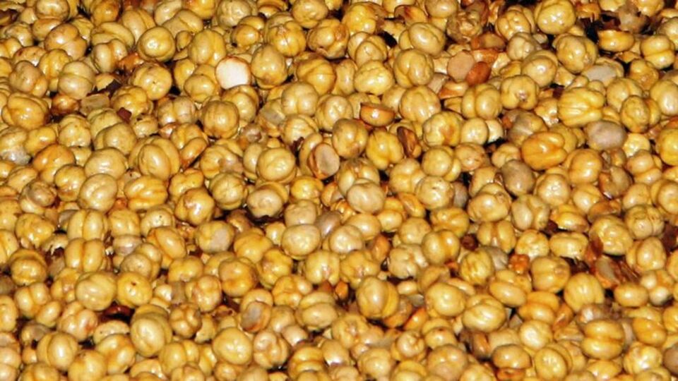 Akılalmaz son! Leblebi yiyordu, öldü