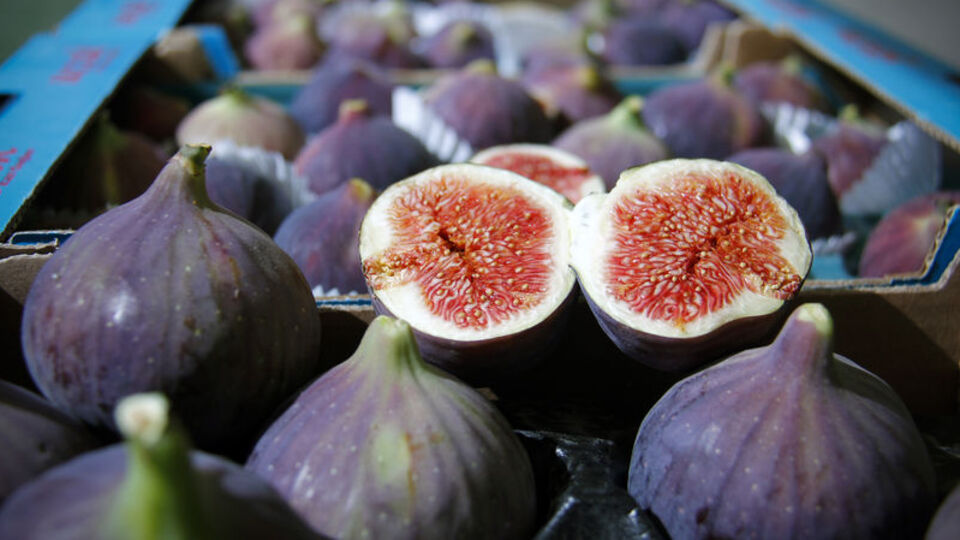 Bağışıklığınızı incirle güçlendirin!