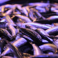 Fiyatı el yakıyor ama yine de vazgeçilmiyor