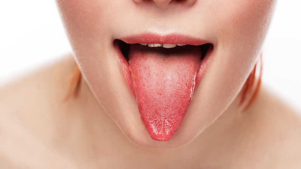 Dili 'tat bölgeleri'ne ayırmak doğru değilmiş!