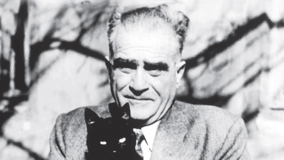 Tanpınar'ın bir sinema tutkunu olarak portresi