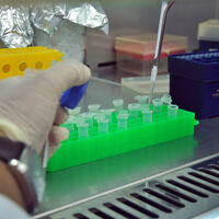 Kırım Kongo kabusu bitiyor mu?