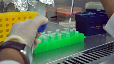 Kırım Kongo kabusu bitiyor mu?