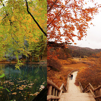 Fatih Sultan Mehmet "Burası dünyanın gözü" demişti!