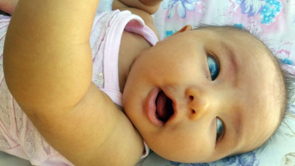 Masal bebek nakil olmazsa bir daha göremeyecek!