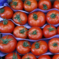 Rusya Başbakan Yardımcısı'ndan 'domates' açıklaması