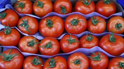 Rusya Başbakan Yardımcısı'ndan 'domates' açıklaması