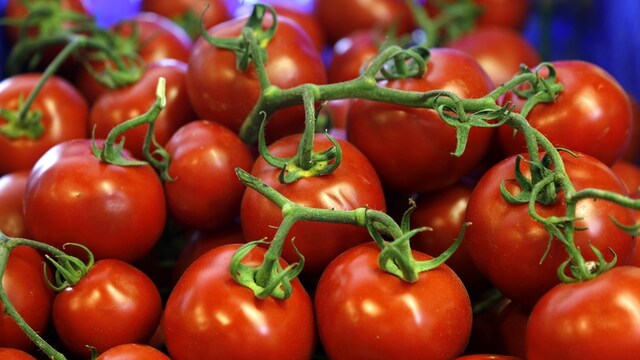 Türk domatesinin Rusya'ya gideceği tarih belli oldu