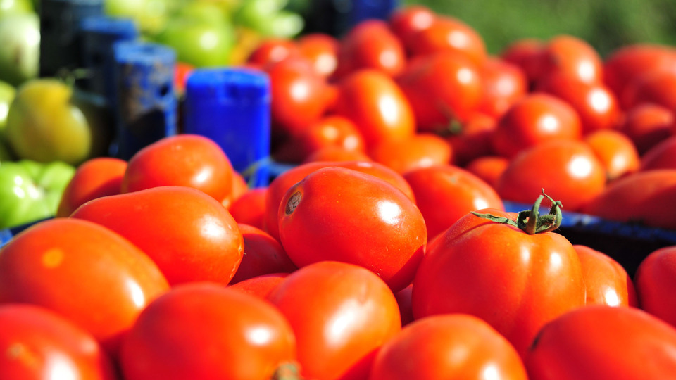 Güve gitti, fiyat uçtu!