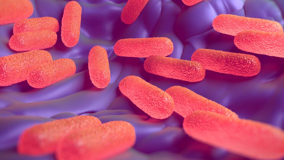 ABD'de "Hepatit A" alarmı