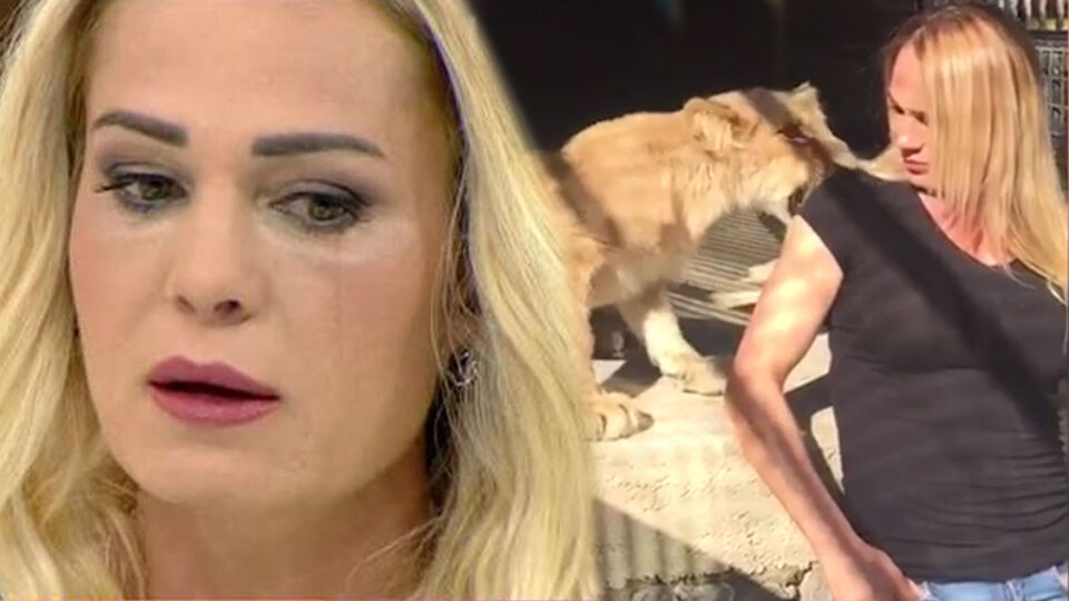 Nagihan'ın panik anları