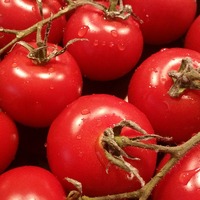 Rusya tarihi öne çekti!