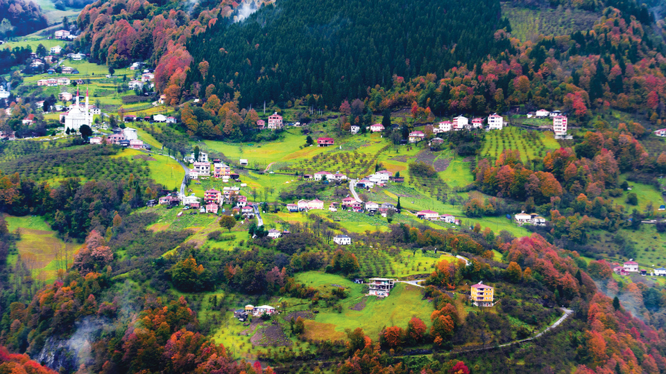 İskoçya değil Trabzon Tonya