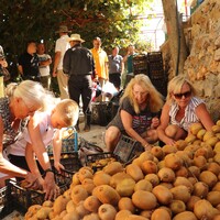 Hasata katılabilmek için rezervasyon yaptırıyorlar!