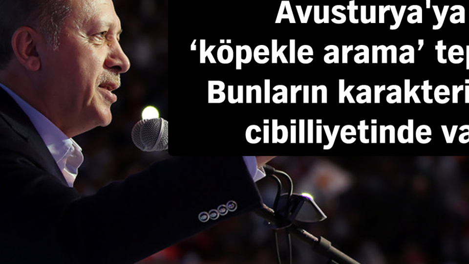 Erdoğan: Avrupa'ya muhtaç değiliz, onlar bize muhtaç