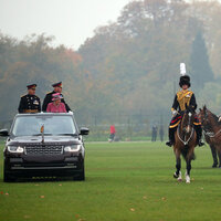 At koşar, taht kazanır!