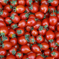 "Rusya izni 4 firmaya verirse diğer firmalar ne olacak?"