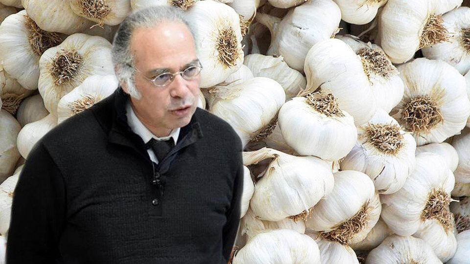 Ünlü onkolog uyardı! Vücudun çatısının bozulmaması için o sarımsakları seçin...