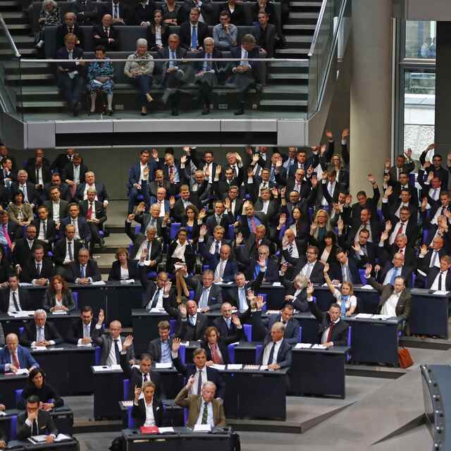 Almanya'da AfD Partisi'ne İslam karşıtlığı şoku!