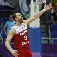 Semih Erden, Beşiktaş'ta