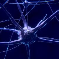 ABD'li bilim insanları canlı beyin hücresi modeli oluşturdu