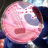 Gen mühendisliğinde çığır açacak keşif!