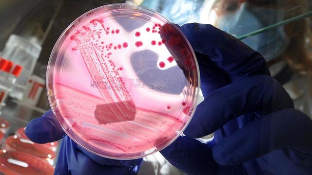 Gen mühendisliğinde çığır açacak keşif!