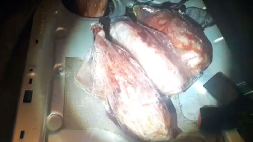 Yakalanmamak için gres yağı sürmüşler!