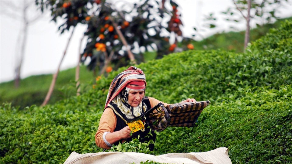 Ödemeler başladı!