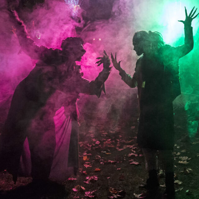 Bu hafta ne yapsak? (31 Ekim 2017)