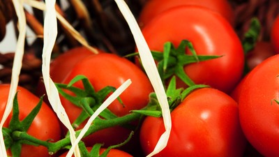 Rusya domates yasağını resmen kaldırdı