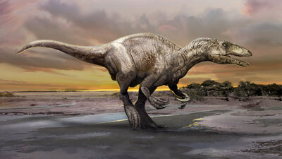 En büyük dinozor ayak izlerinden biri bulundu