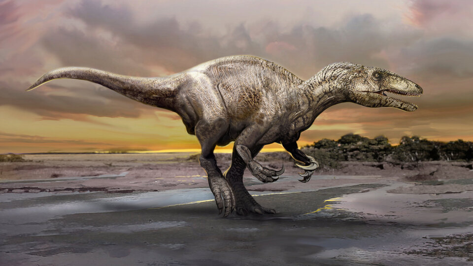 En büyük dinozor ayak izlerinden biri bulundu