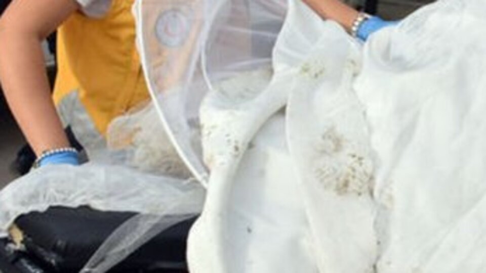 Gelin hastanelik olmuştu! Her şeyi itiraf etti