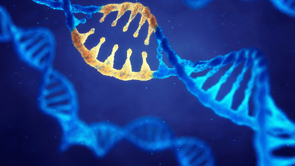 İnsan genomunun bilinmesi yeni tedaviler için umut olacak!