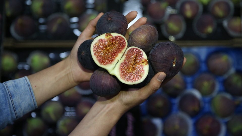 Hong Kong'da 'Bursa Siyahı' kuyruğu