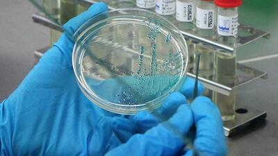 "Bakterilerin de dokunma duyusu var"