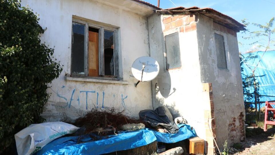 Silivri'de dehşet veren cinayet! Domuz bağı iddiası