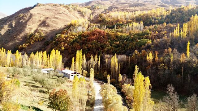 Sarının her tonu burada! İşte Bahçesaray'dan sonbahar manzaraları